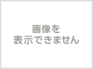 鉄コレ JR北海道 キハ54形500番代 　キハ54-521 　エキナカオリジナル 第3弾 JR旅客6社 　　車両のみ