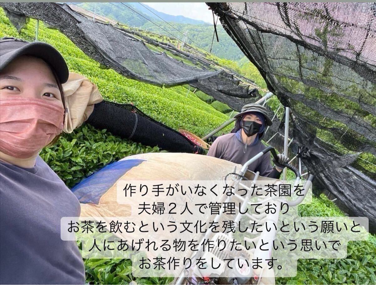 ＊無農(nóng)薬お茶＊【便利な個(gè)包裝スティック】深煎りの香りと茶葉の甘味? 焙煎ほうじpowder 1g×100本 化學(xué)肥料?除草剤?畜産堆肥不使用③