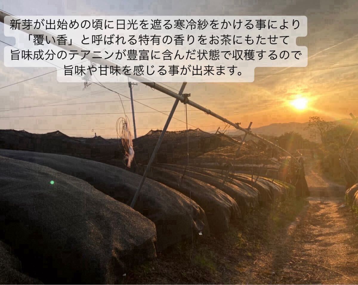 ＊無農薬お茶＊【便利な個包装スティック】人気No.1！香ばしさと抹茶の旨味♪ 玄米抹茶　1g×30本　化学肥料・除草剤・畜産堆肥不使用③