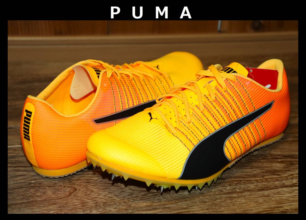 ミニエピク スマウグ ゴールド限定 送料無料 即決【未使用】 PUMA エヴォスピード トーキョー