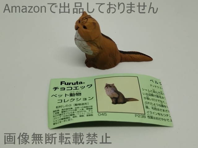 チョコエッグ ペット動物コレクション 第2弾 045 ペルシャ チンチラゴールデン