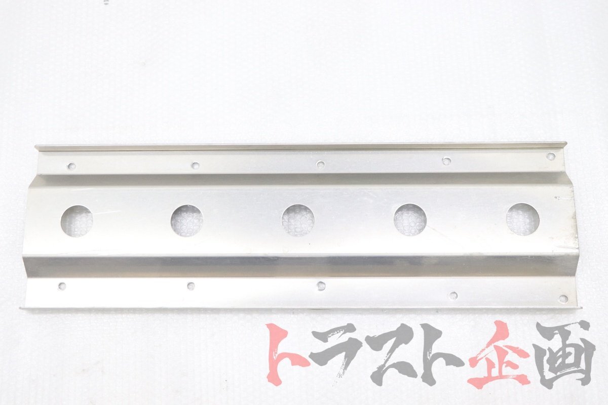 NTS技研 アルミ アンダー補強カバー カプチーノ ベース EA11R