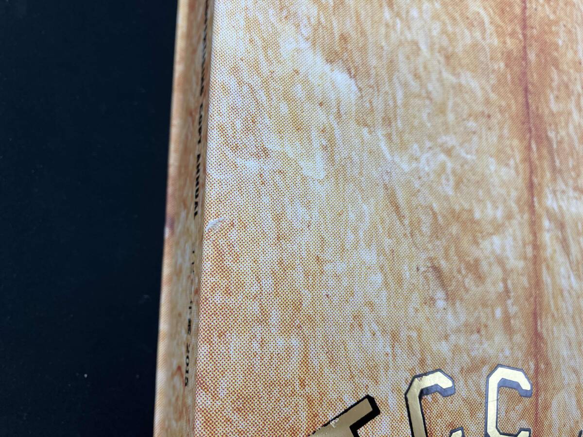 コピー年鑑(2015) 東京コピーライターズクラブ