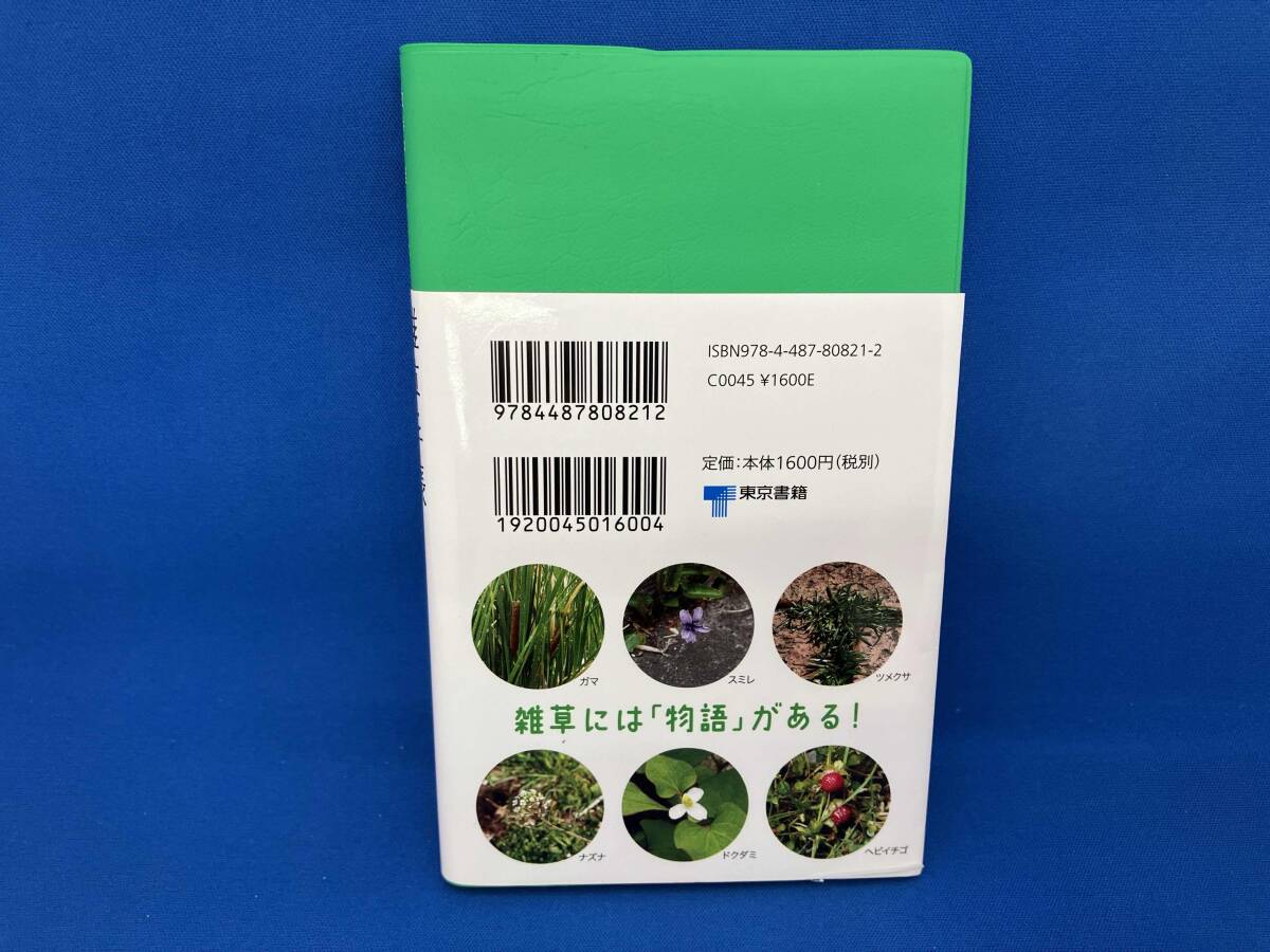 散歩が楽しくなる雑草手帳 稲垣栄洋_画像3