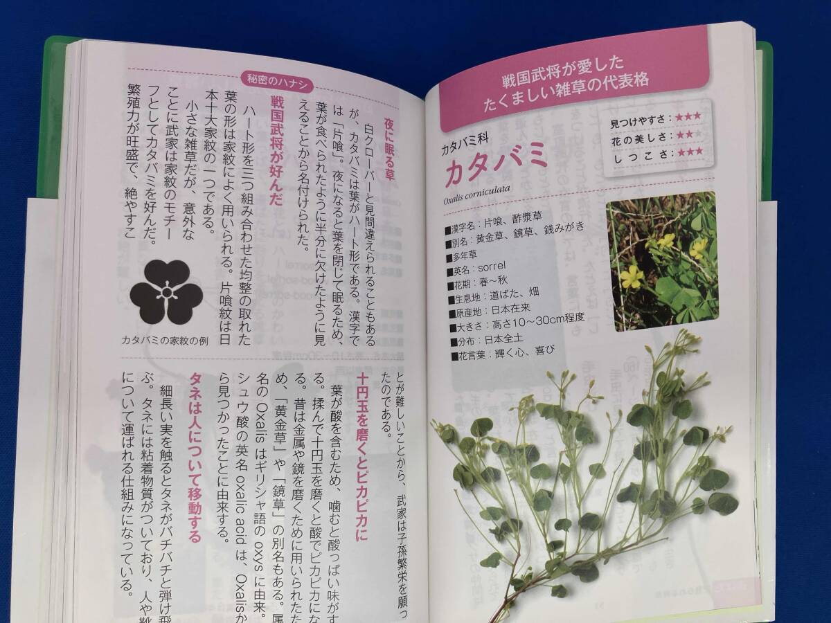 散歩が楽しくなる雑草手帳 稲垣栄洋_画像4
