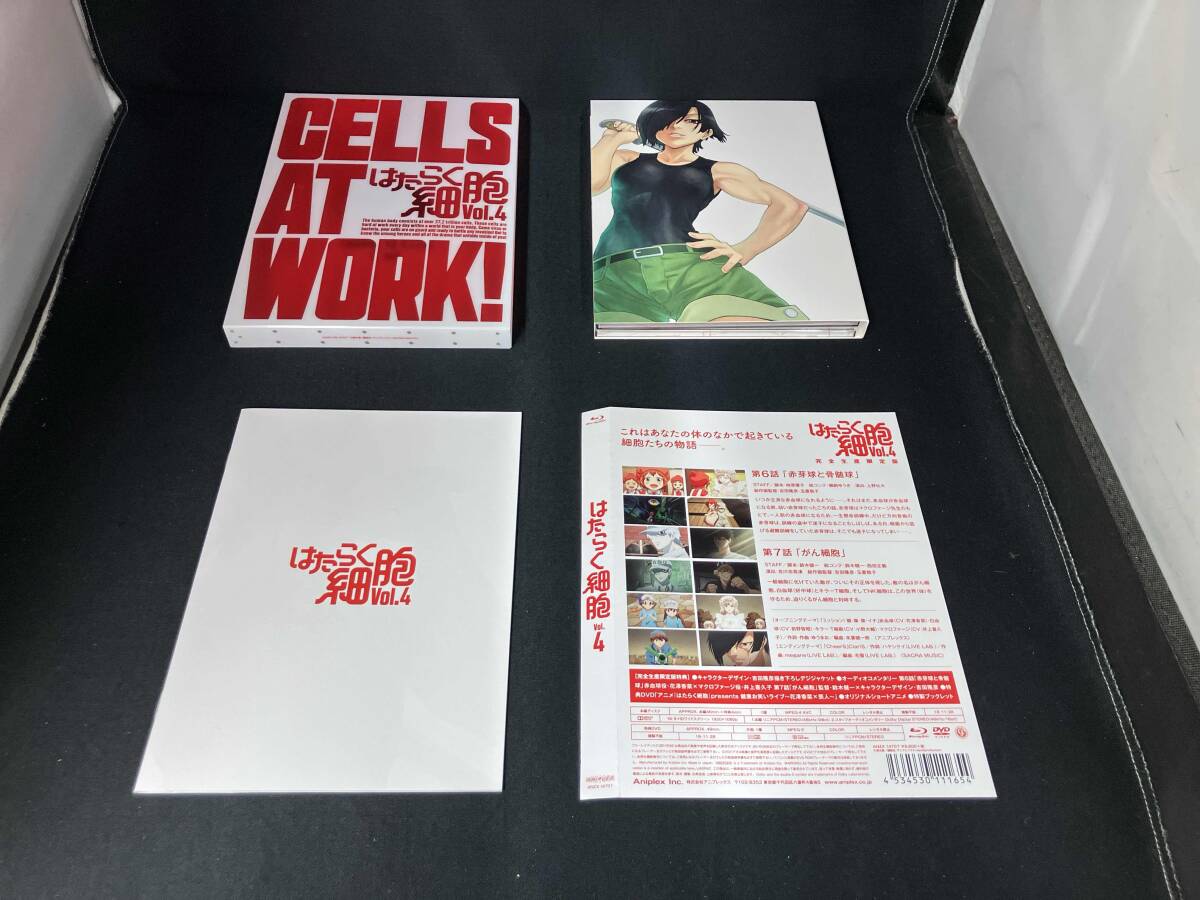はたらく細胞 4(完全生産限定版)(Blu-ray Disc) アニメBlu-ray はたらく細胞 Blu-ray Disc BOX 完全生産限定版