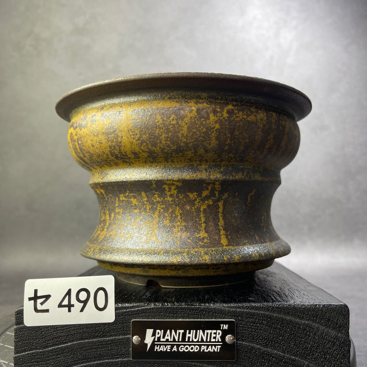 セ490 HAND Made 6号 植木鉢 陶器検（アガベ パキプス 姫巌竜