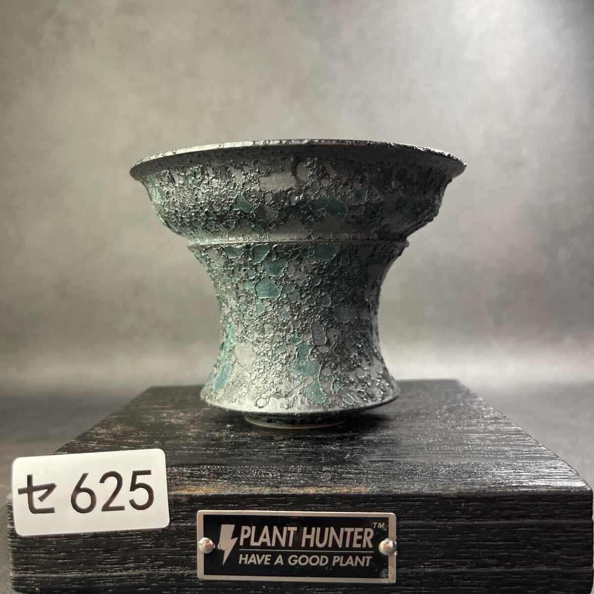 セ625 HAND Made 植木鉢 陶器検（アガベ パキプス 姫巌竜 帝釈天