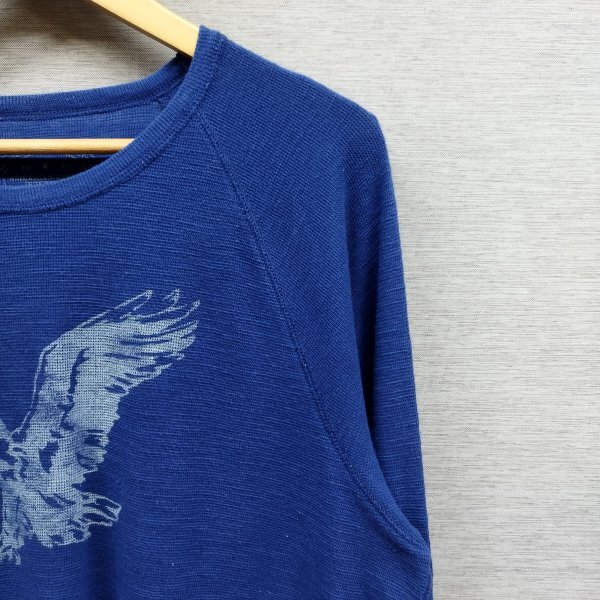 E258 AMERICAN EAGLE OUTFITTERS アメリカンイーグル アウトフィッターズ 長袖 カットソー フロント ロゴ ラウンドネック ブルー系 L 鷲