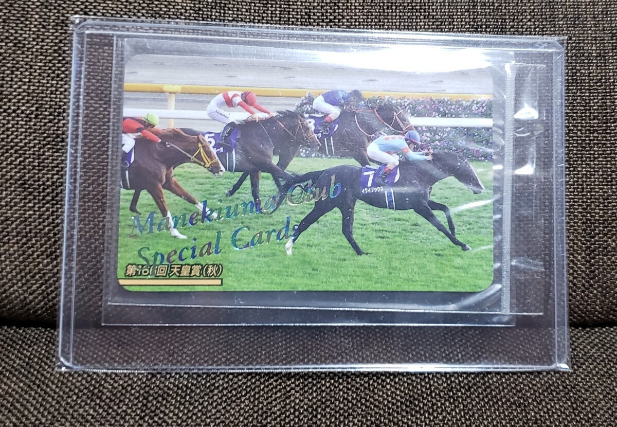 まねき馬 レインボー ステイゴールド