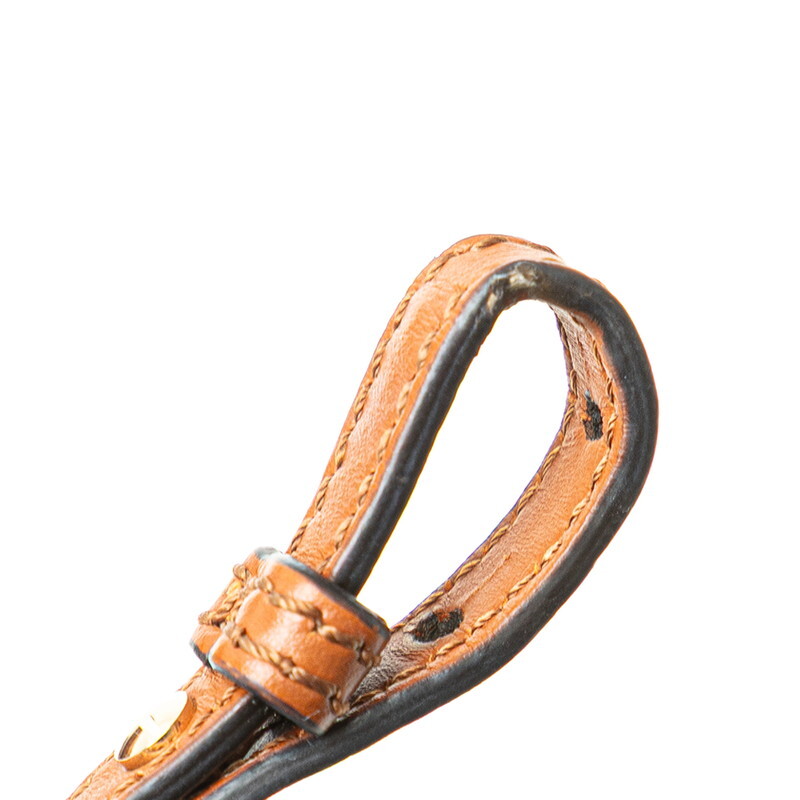 フェンディ サンシャイン ショッパー スモール ハンドバッグ ショルダーバッグ 2WAY 8BS051 ブラウン レザー レディース FENDI 【中古】