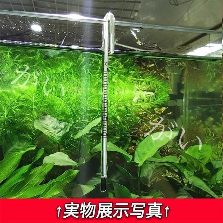 2本　水温計　ホワイトタイプ　サーモメーター　ガラス製　厚さ15mmまで対応　水槽　アクアリウム　メダカ 金魚 熱帯魚　グッピーなど_画像10