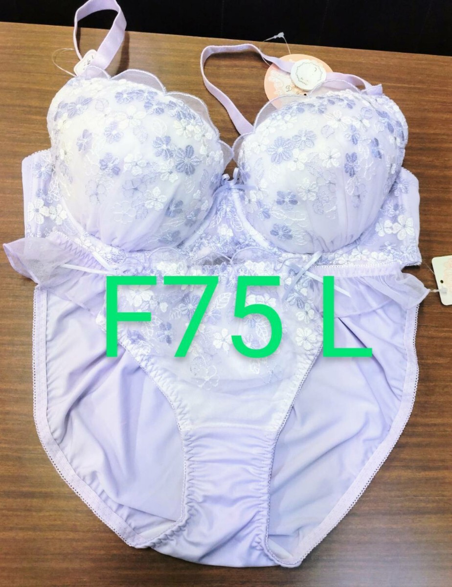 ブラジャーショーツセット F75 L