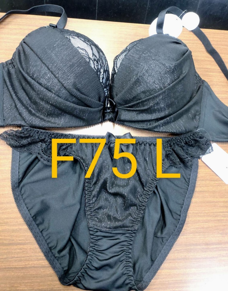ブラジャーショーツセット F75 L
