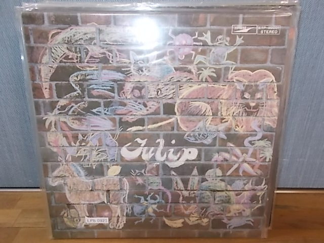 LPb0921 [LP][EX-EX]Tulip/ぼくがつくった愛のうた