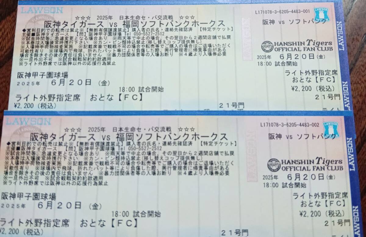 大人2枚