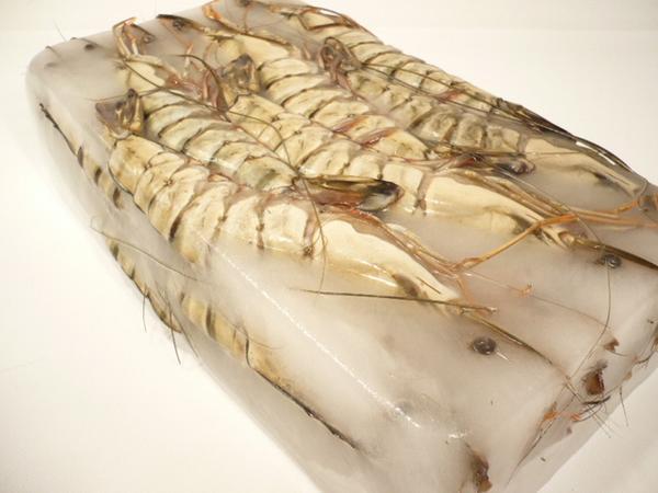 【Max】BIGサイズ！有頭 ブラックタイガー 20尾 業(yè)務(wù)用