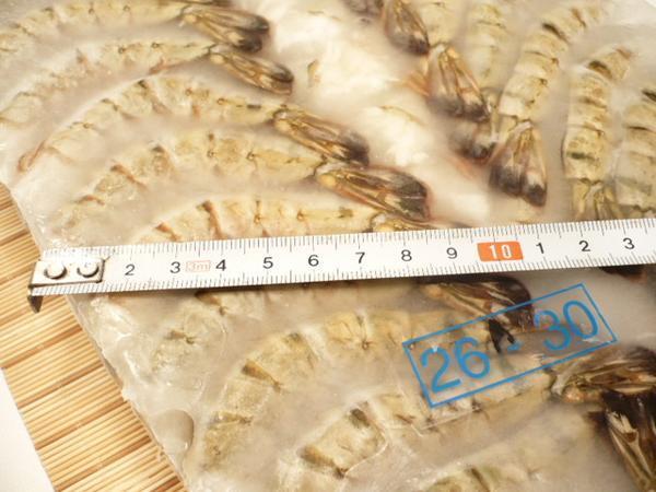 【Max】無頭ブラックタイガー26/30サイズ　業(yè)務(wù)用お買い得品！