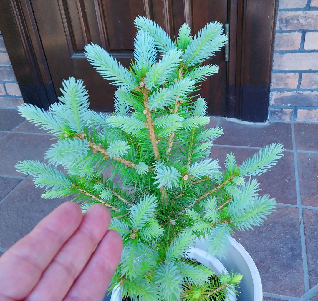 item_image_7