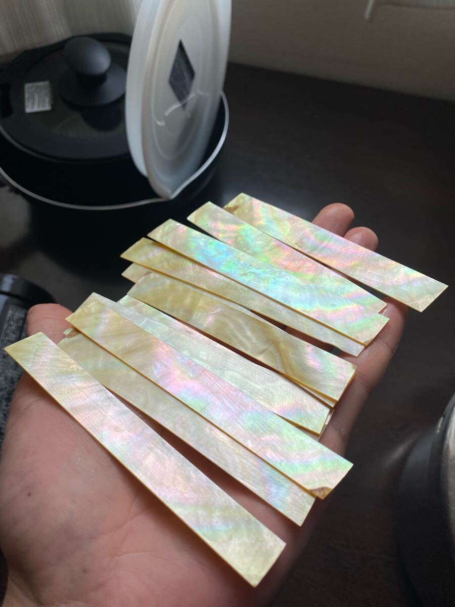 白蝶貝　10枚セット　11cm前后