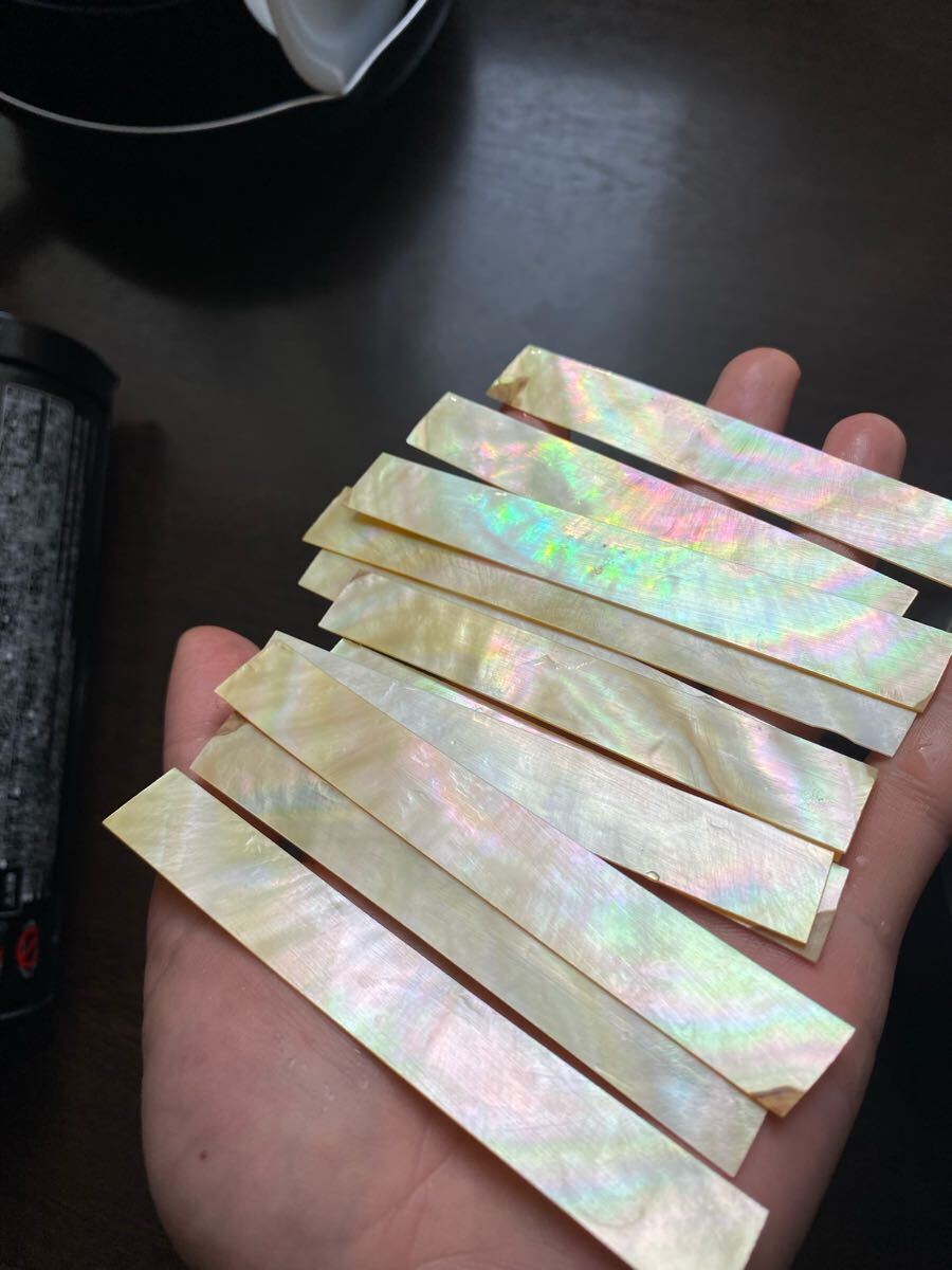 白蝶貝　10枚セット　11cm前后