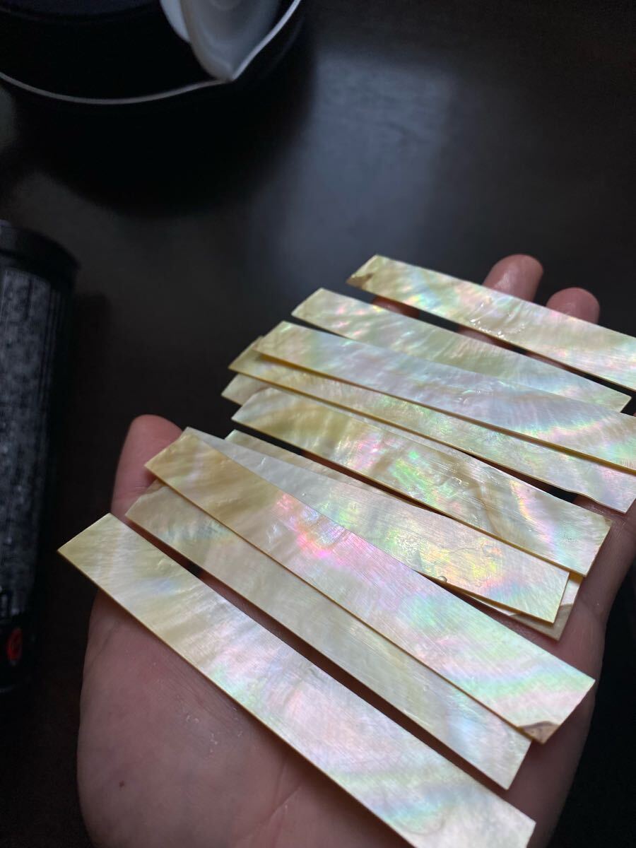 白蝶貝　10枚セット　11cm前后