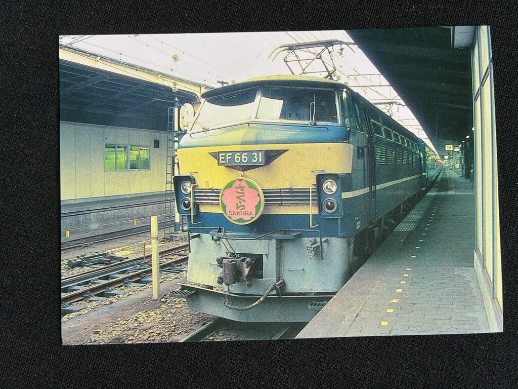 特急さくら號(hào)ピンバッジ2個(gè)入り　おまけ付き