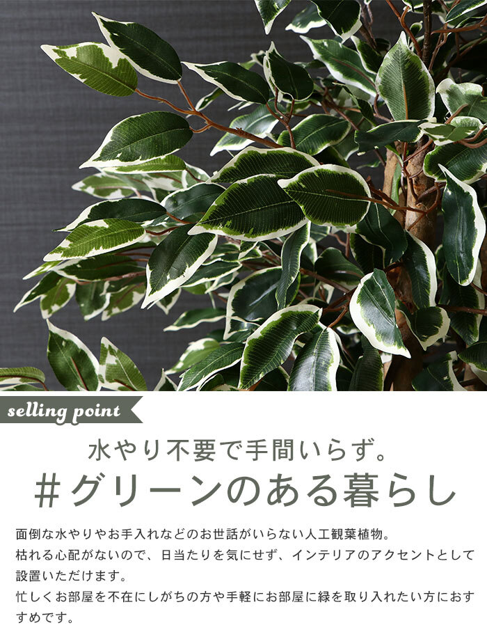 【値下げ】 観葉植物 人工 フェイクグリーン フィカス 高さ 160cm 6號(hào)鉢対応 造花 インテリア 目隠し M5-MGKFGB90092
