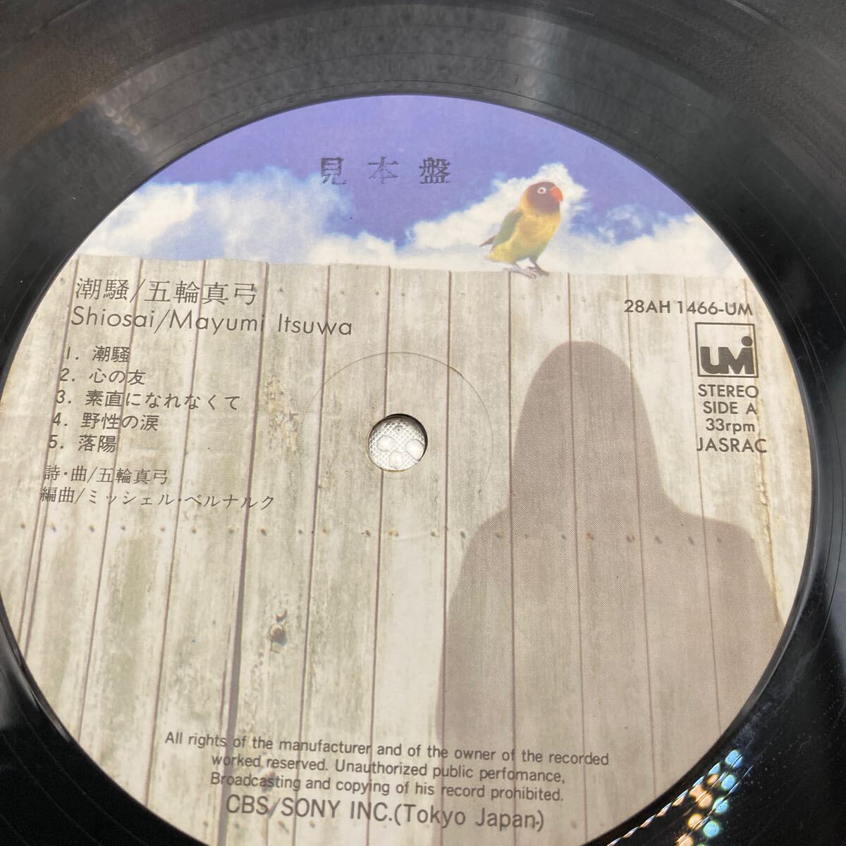 見本盤 LP 五輪真弓/潮騒/UMI 28AH1466