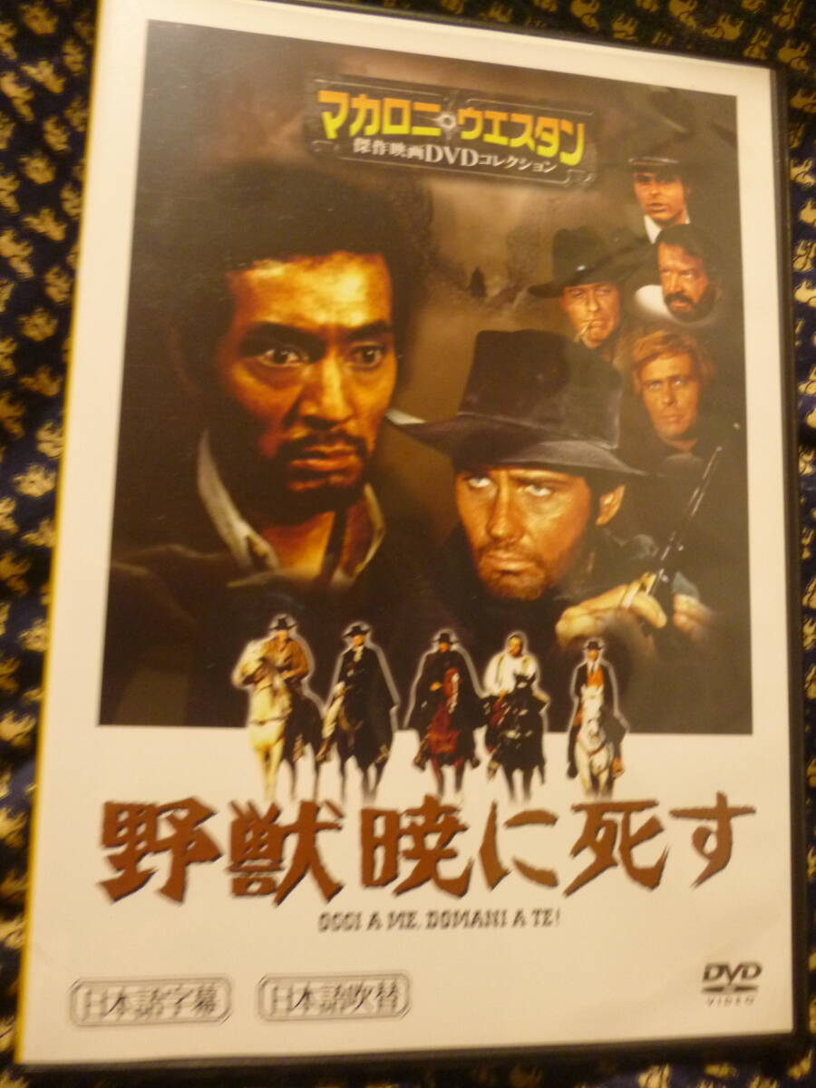  сверху прекрасный товар DVD*[......]ma Caro ni Western . произведение фильм DVD коллекция 15 /. плата . стрела : выступление * японский язык дуть изменение :....* быстрое решение 