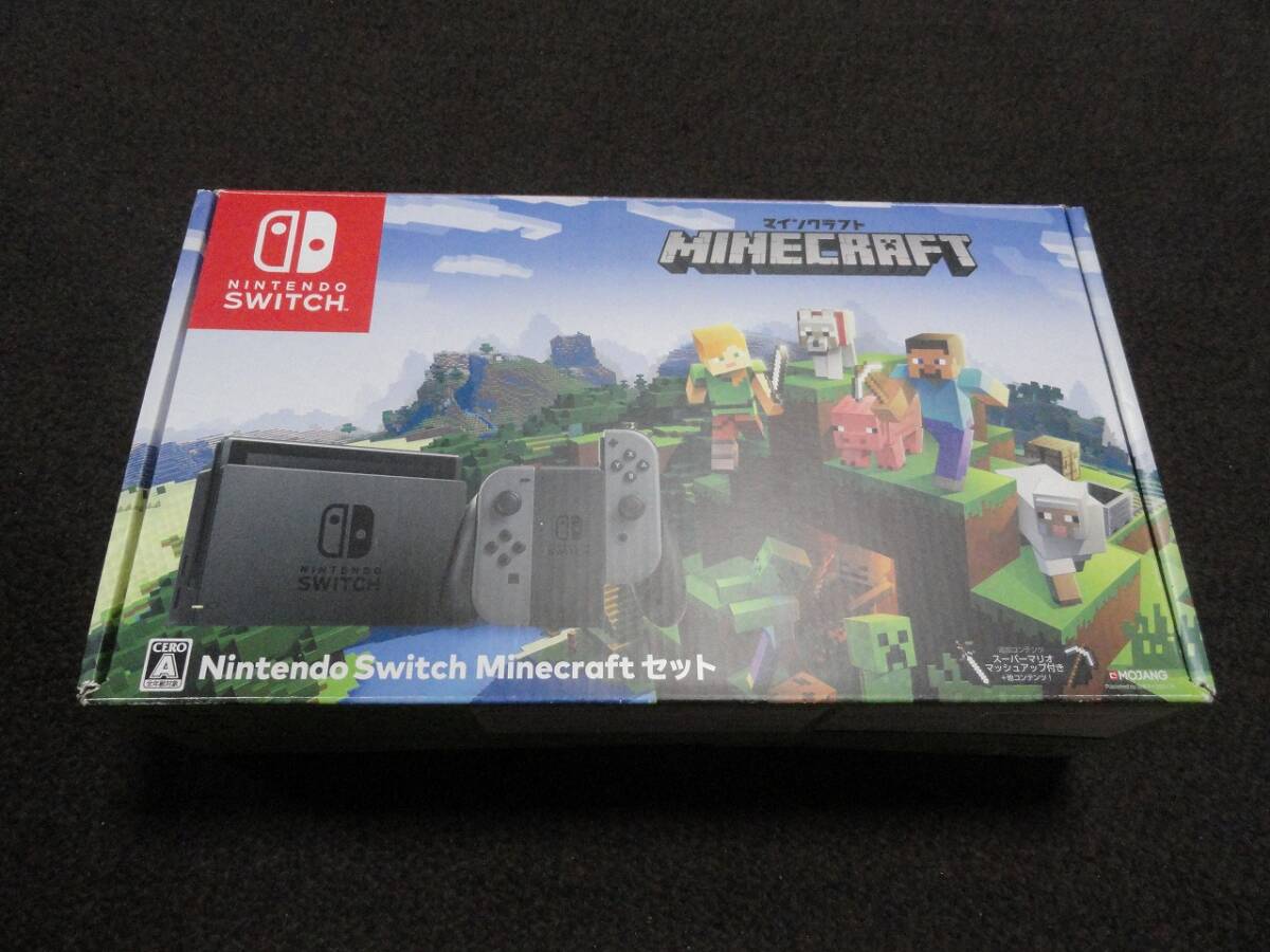 Nintendo Switch Minecraft (マインクラフト) セット 動作確認
