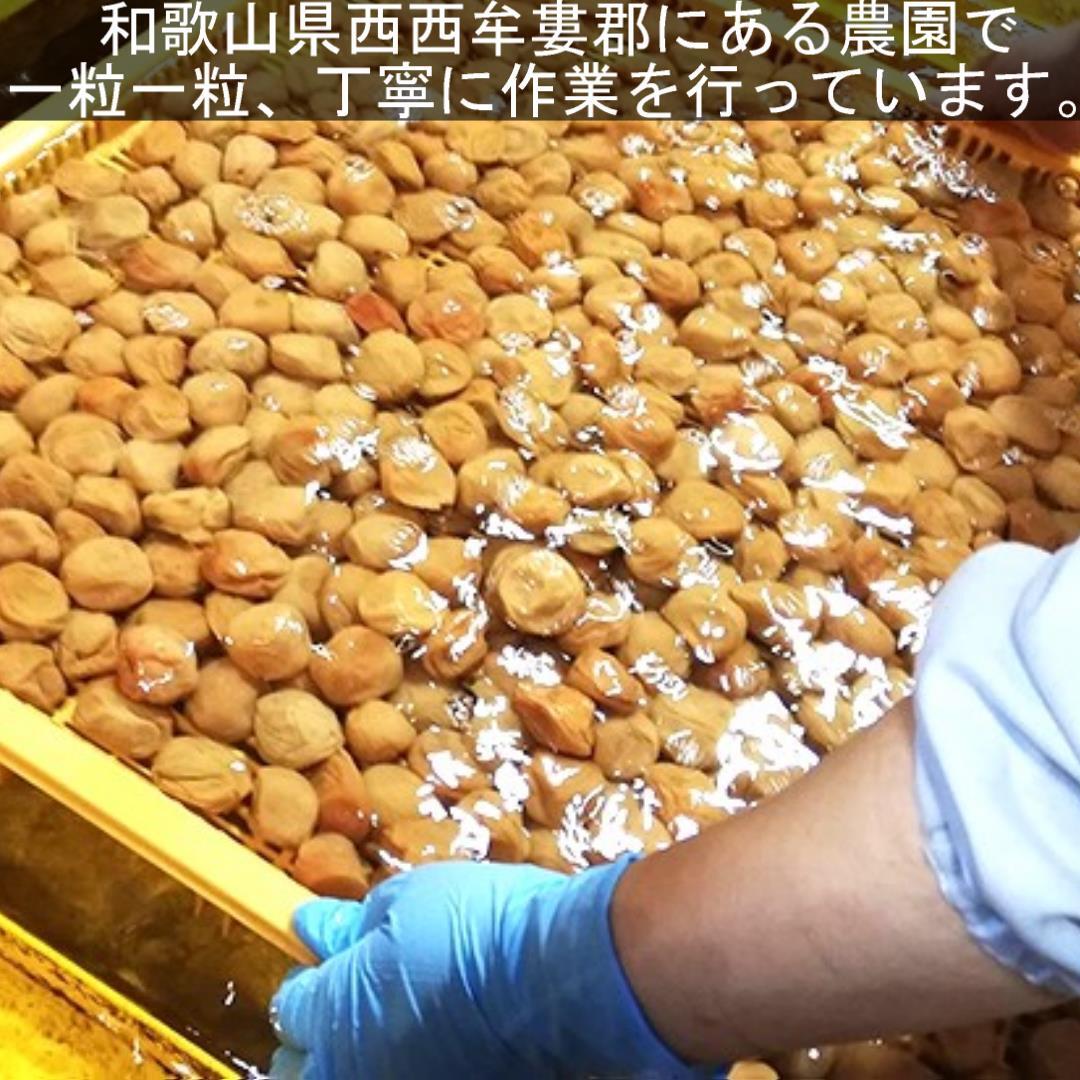 2【★900g★ 大粒 完熟梅 塩分5％ まろやか はちみつ漬け 梅干し 450g×2点】 フルーティー とろとろ ハチミツ 梅干し 和歌山 