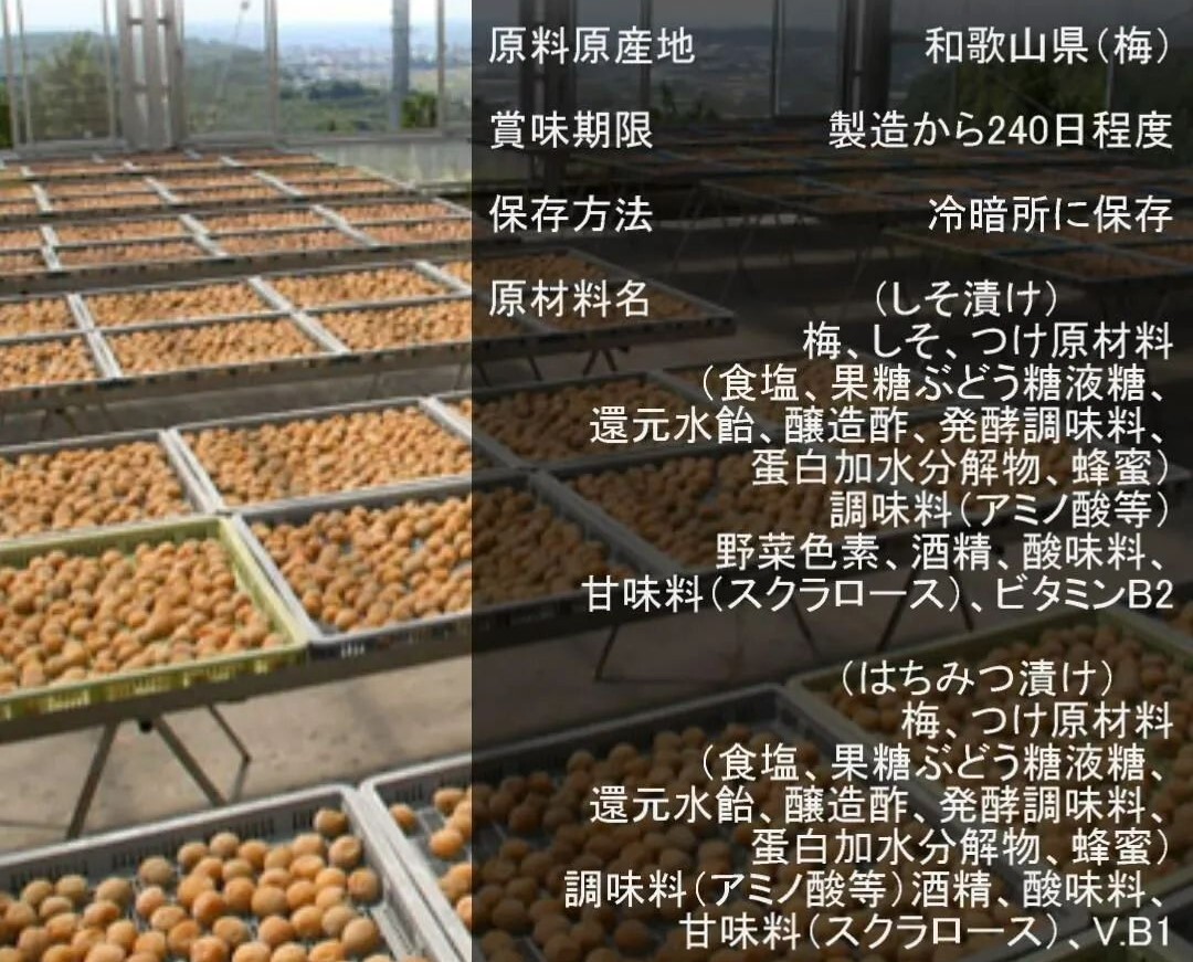 2【★900g★ 大粒 完熟梅 塩分5％ まろやか はちみつ漬け 梅干し 450g×2点】 フルーティー とろとろ ハチミツ 梅干し 和歌山 