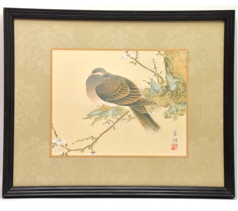 835 （真筆）山口華楊 「雉鳩」 三輪良平鑑 ○ 日本画 絵画 額装