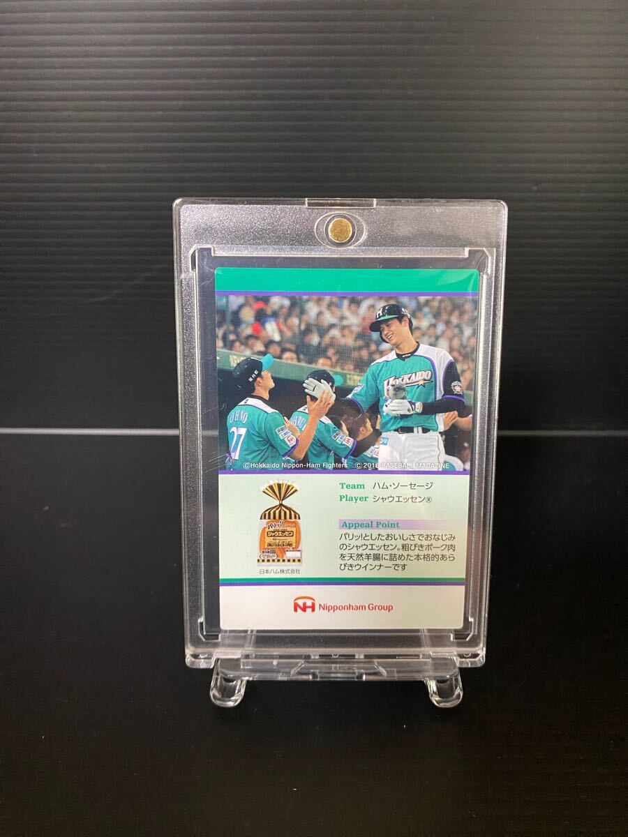 ☆24枚セット☆大谷翔平 北海道日本ハムファイターズ BBM 2016