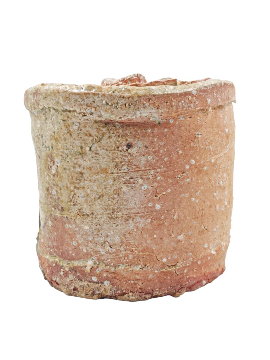 ?茶道具? 【寺垣外 杉本貞光】 『信楽 水指』 在印 桐共箱 共布 真作保証 滋賀県