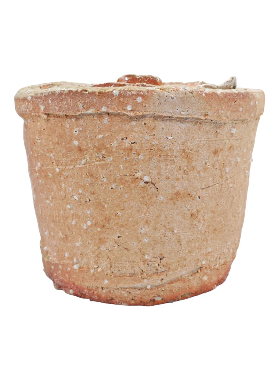 ?茶道具? 【寺垣外 杉本貞光】 『信楽 水指』 在印 桐共箱 共布 真作保証 滋賀県