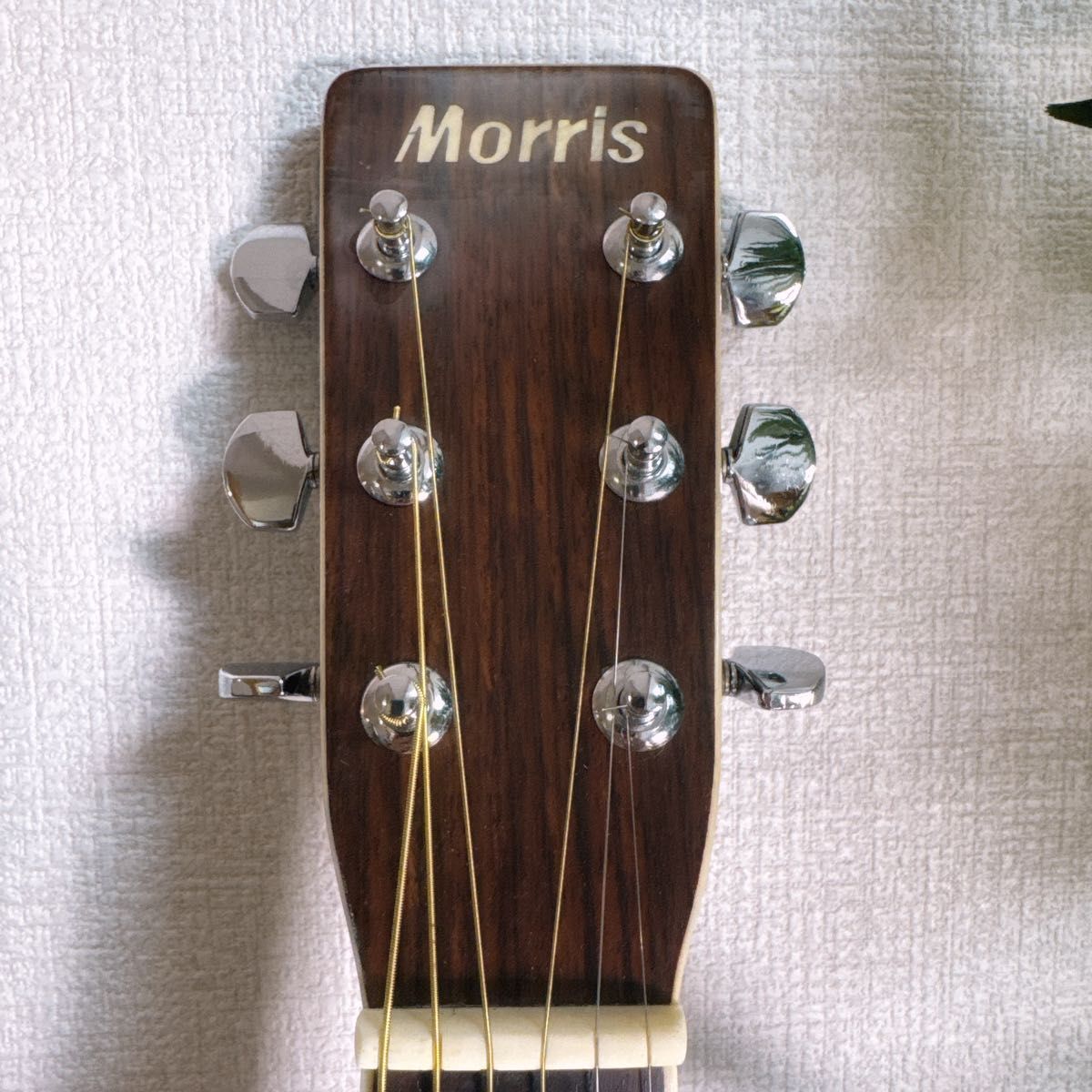 Morris ハラカンダ W-40 1975年製 アコースティックギター