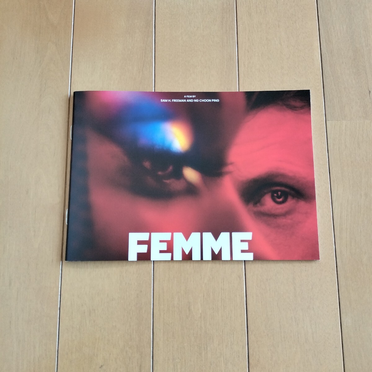 フェム パンフレット ネイサン?スチュワート＝ジャレット ジョージ?マッケイ アーロン?ヘファーナン ジョン?マクリー FEMME