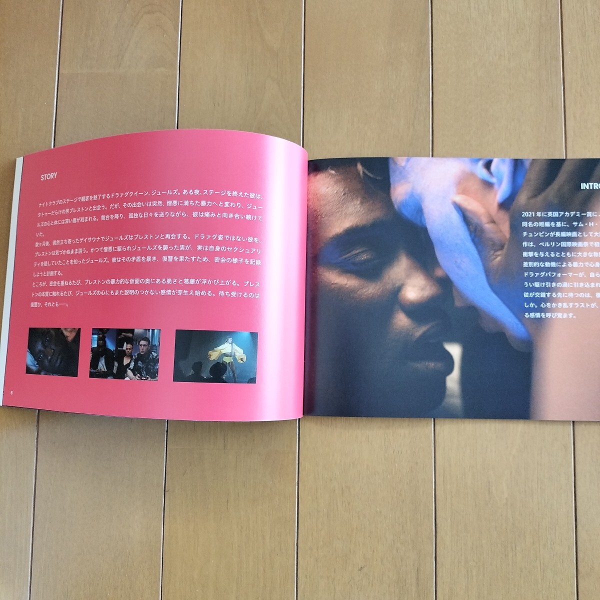 フェム パンフレット ネイサン?スチュワート＝ジャレット ジョージ?マッケイ アーロン?ヘファーナン ジョン?マクリー FEMME