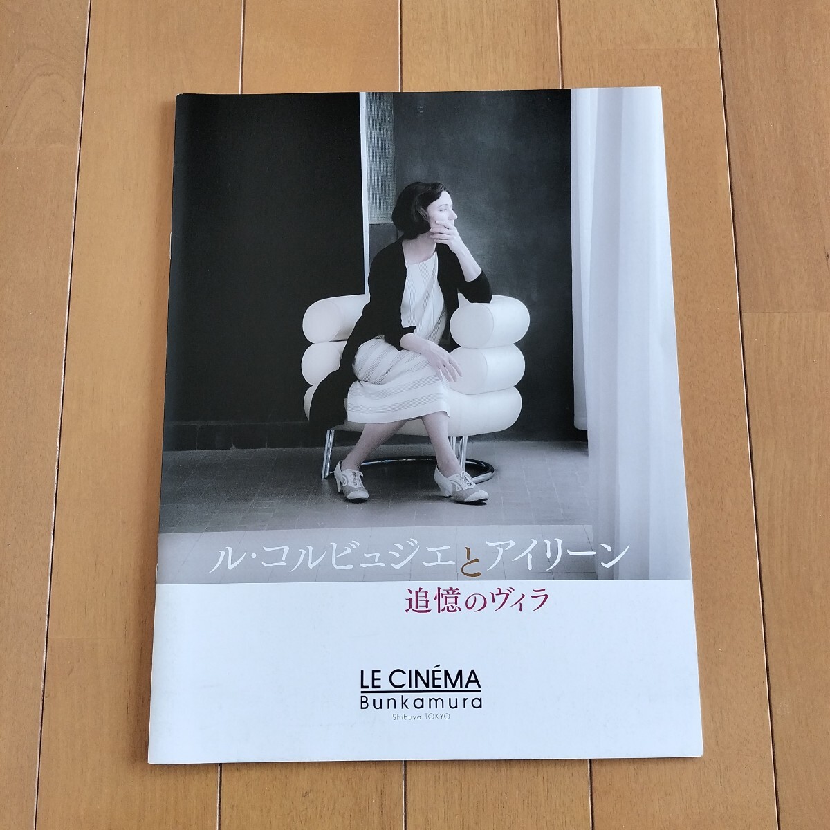 ル?コルビュジエとアイリーン 追憶のヴィラ パンフレット アイリーン?グレイ Le Corbusier Eileen Gray E.1027 ビバンダム キャバノン