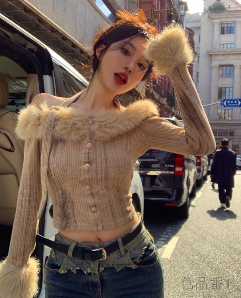  tops короткий длинный рукав искусственный мех простой casual симпатичный женский S Camel 