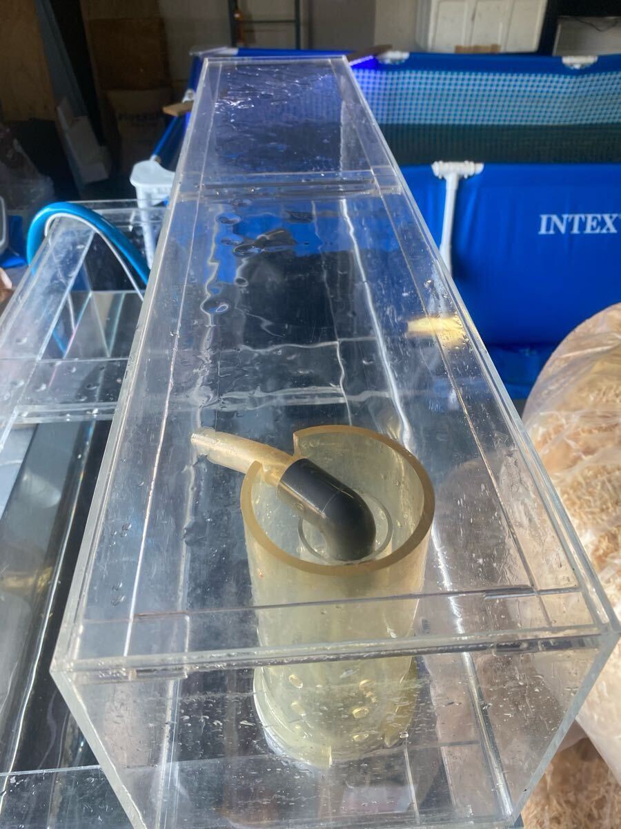 すぐったレディース福袋 アクリル水槽 90cm水槽用 京都府 引き取り限定 リフジウム水槽 水槽