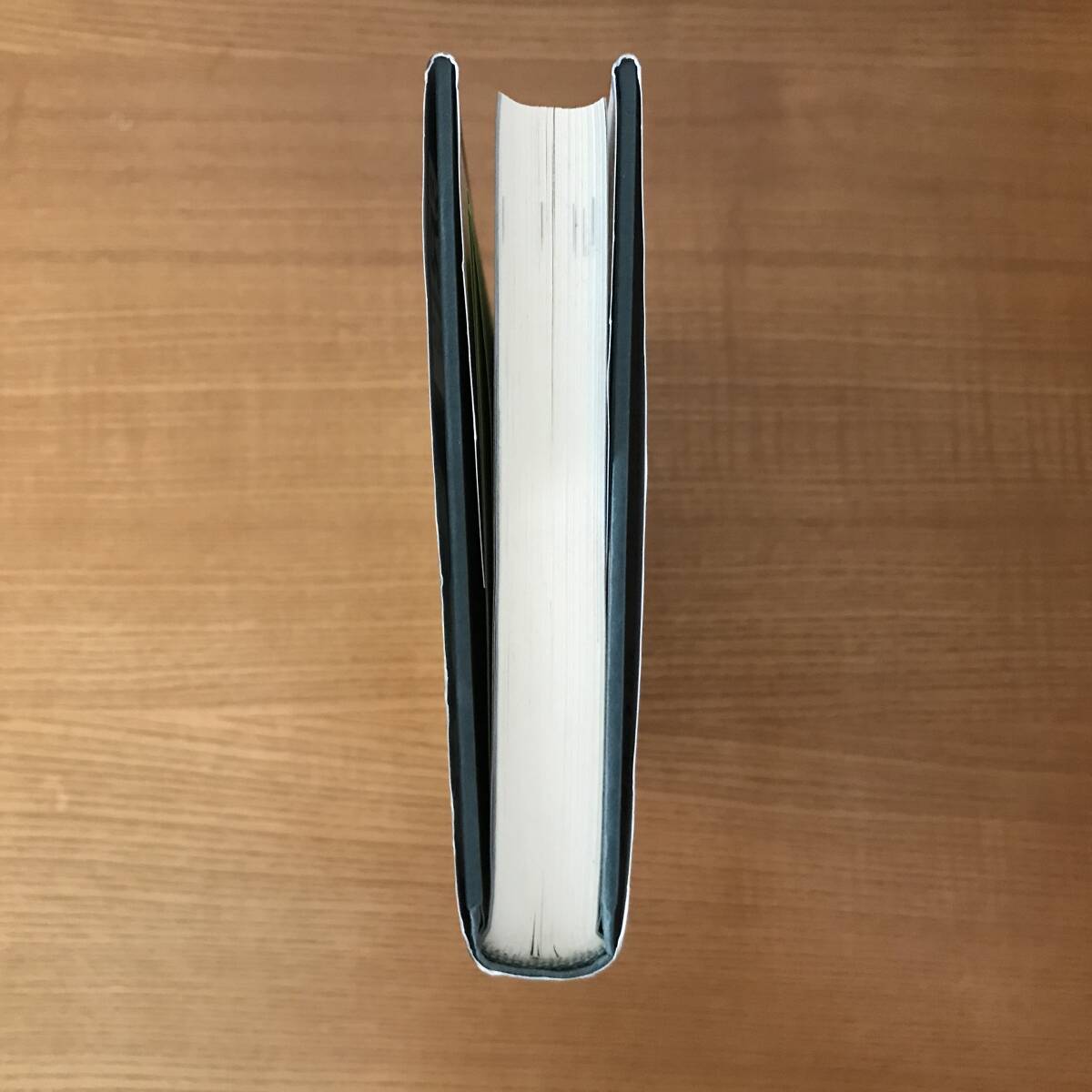 【送料込】沢歩き[近畿編]＜同人・わっさかわっさか沢歩き＞編　美品_画像4