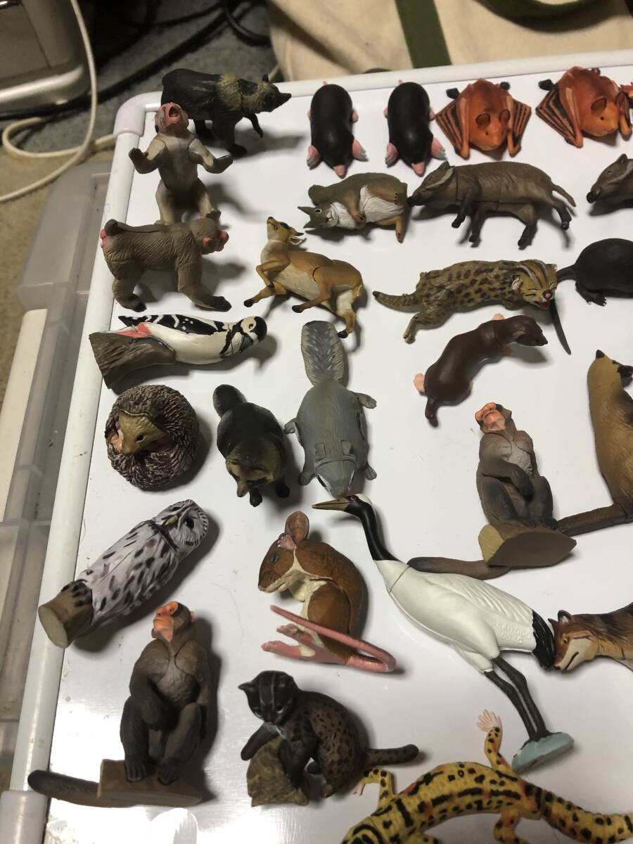 タカラチョコエッグ チョコQ 日本の動物 ペット動物（海洋堂