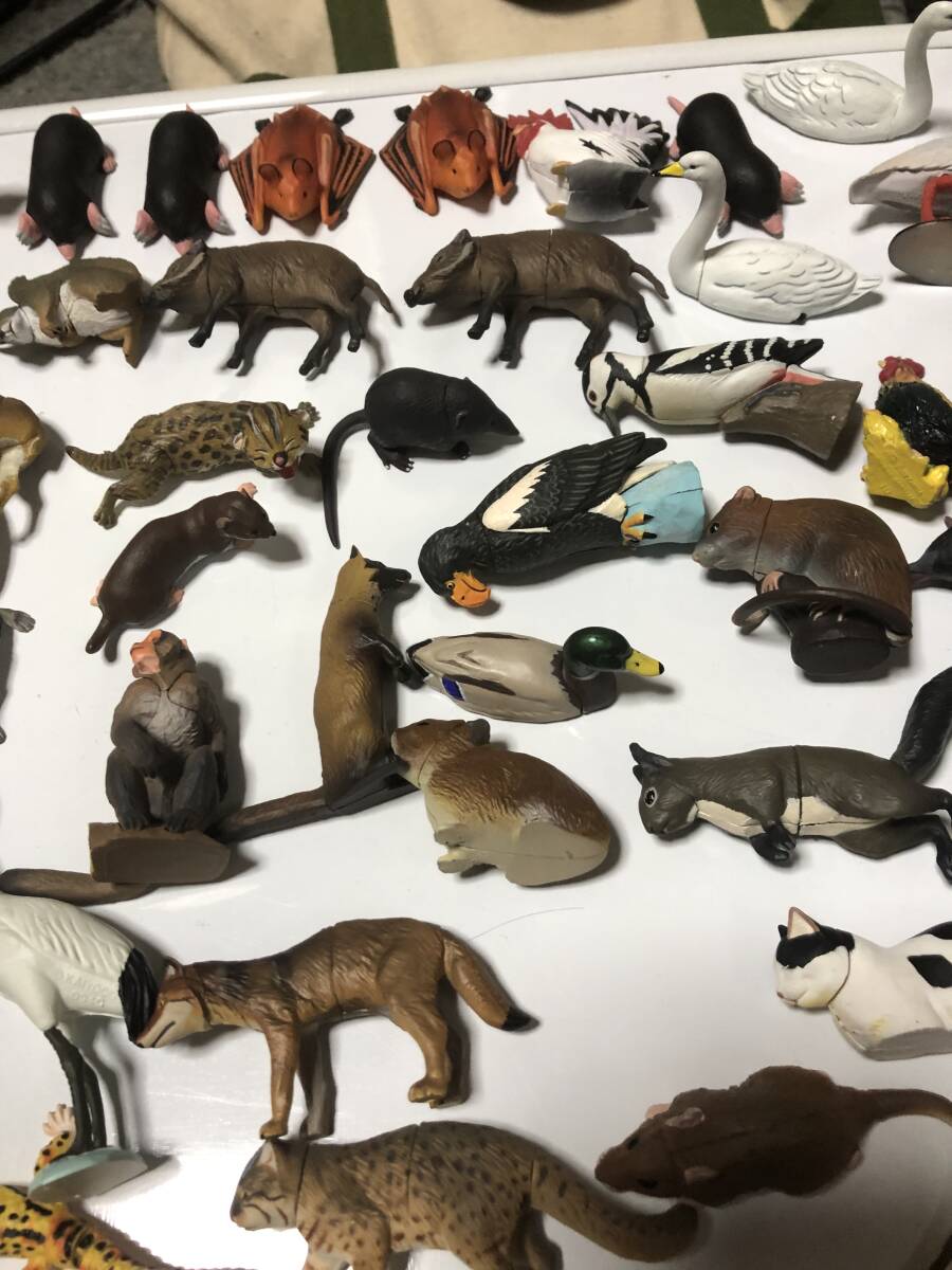 タカラチョコエッグ チョコQ 日本の動物 ペット動物（海洋堂