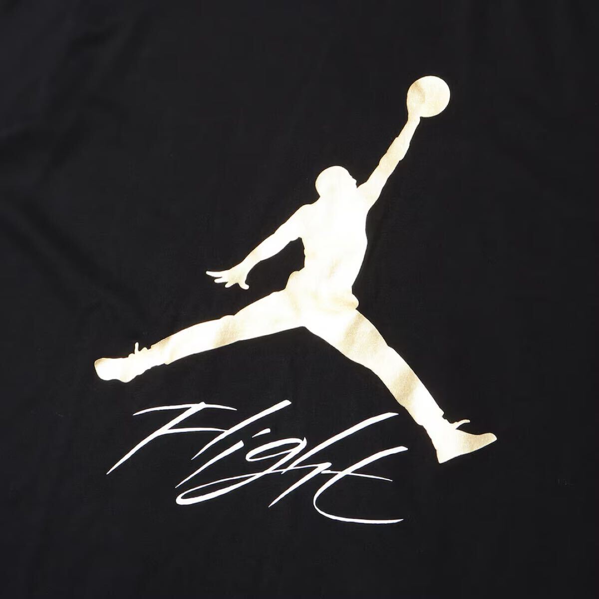 [ обычная цена быстрое решение! включая доставку ]NIKE*JUMPMAN FLIGHT* Jordan Jump man полет * короткий рукав футболка * Nike * Париж Saint-German *AIR JORDAN