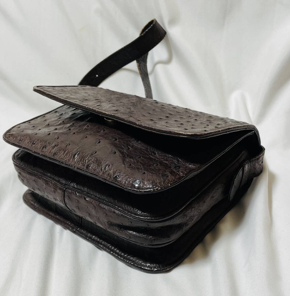 ヴィンテージ LOEWE ロエベ アナグラム金具　オーストリッチ ショルダーバッグ