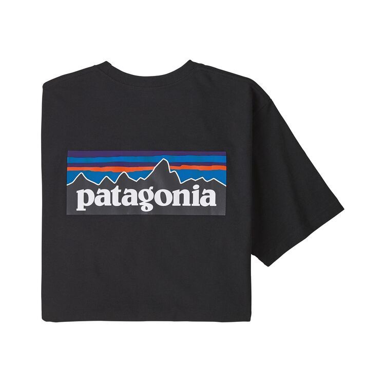patagonia（パタゴニア） / ロングスリーブP-6ロゴ・レスポン