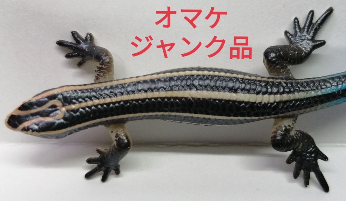 原色爬虫類トカゲ図鑑 トカゲ フィギュア ガチャガチャ - メルカリ